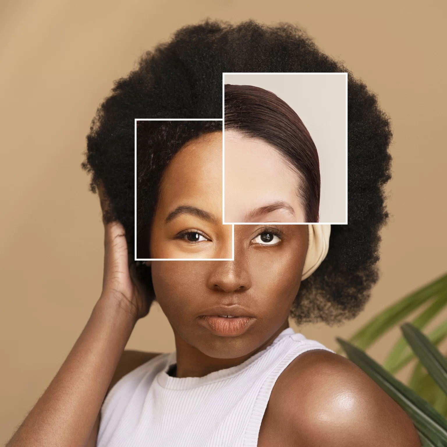 2_decore_image_renala_madagascar