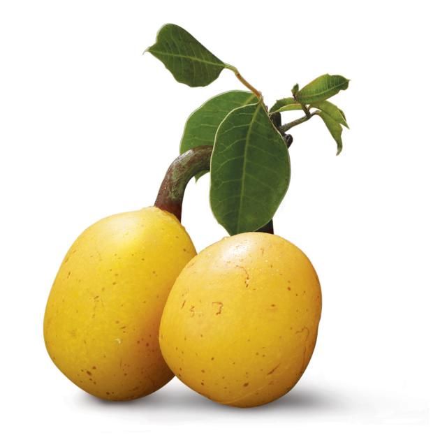 Huile Végétale de Marula-1 renala madagascar